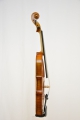 Violine "Giorgia"