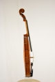 Violine "Fulvia"