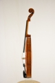 Violine "Fulvia"