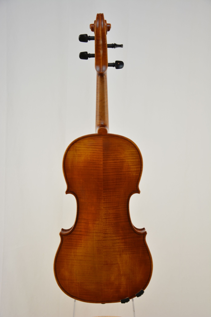 Viola "Grazia"