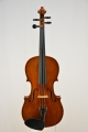 Viola "Grazia"