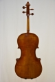 Viola "Augustina" (42-er)