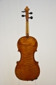 Violine "Vincenzo"