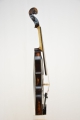 Violine "Giuseppe"