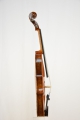 Violine "Fiamma"