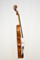 Violine "Agostino"