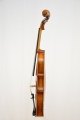 Violine "Agostino"